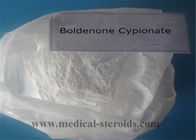 High Pure Sex Steroid Powder Hormones Boldenone Cypionate For Bodbuilding , CAS 106505-90-2