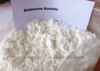 CAS 2363-59-9 Boldenone Steroid For Cutting Cycles Boldenone Acetate White Powder
