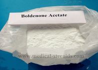 CAS 2363-59-9 Boldenone Steroid For Cutting Cycles Boldenone Acetate White Powder