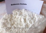 Boldenone Acetate Oral Boldenone Powder Muscle Building Steroids CAS 2363-59-9