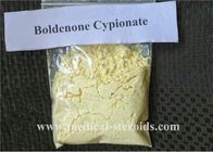 Boldenone Cypionate Bodybuiding Muscle Gain Raw Chemical Material CAS 106505-90-2