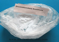 Muscle Buidling Steroid White Powder Drostanolone enanthate CAS 472-61-145