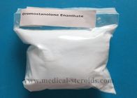 Muscle Buidling Steroid White Powder Drostanolone enanthate CAS 472-61-145