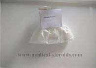 Anti Estrogen Oral Anabolic Steroids Letrozole/ Femara Powder  CAS 112809-51-5