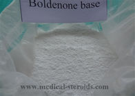 Muscle Building Raw Steroid Boldenone Base CAS 846-48-0 for Muscle and Strength Growth