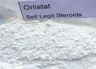 White Powder Weight Loss Steroids Fat Burning Steroids Orlistat CAS 96829-58-2