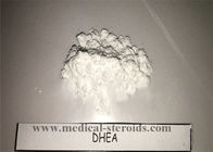 99% Purity DHEA Raw Steroid Powder Dehydroisoandrosterone For Musle Supplements CAS 53-43-0