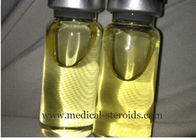 Oil Based Muscle Growth Steroid Oil Testosterone Enanthate 250mg/Ml TE 100% Safe Delivery