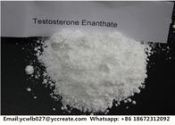 High Quality Methasterone with CAS 3381-88-2 in White Crystalline Powder as Pharmaceutical Intermediate