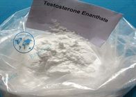 Testosterone Enanthate Testosterone Anabolic Steroid Powder Test E for Body Building