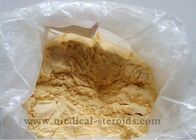 Bodybuilding Trenbolone Enanthate Anabolic Steroid Tren Enan  Human Growth Muscle Powder