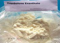 Bodybuilding Trenbolone Enanthate Anabolic Steroid Tren Enan  Human Growth Muscle Powder