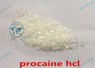 Local Anesthesia Procaine HCL Powder CAS 51-05-8 Procaine Hydrochloride