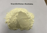 Legal Tren Ace Muscle Growth Steroids Trenbolone Acetate Powder for Male Sex Hormone