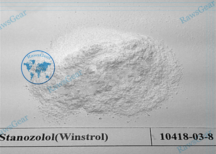 White Powder Oral Anabolic Steroids Stanozolol / Winstrol CAS 10418-03-8