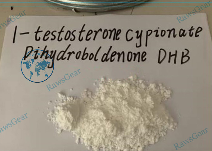 99% Purity Injectable Steroid 1-testosterone Cypionate Powder DHB Man &amp; Women Available Bodybuilding Use