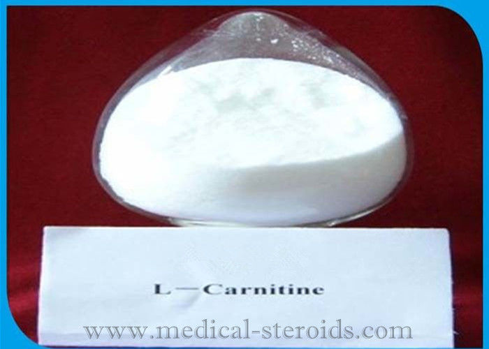 99.5% Assay Weight Loss Steroids L-Carnitine For Fat Burning CAS 541-15-1