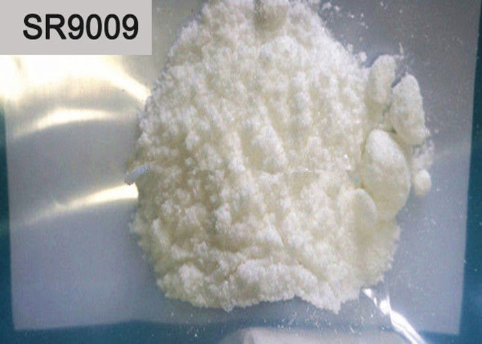 Selective Androgen Receptor Modulators SR9009 For Muscle Growth , White Powder