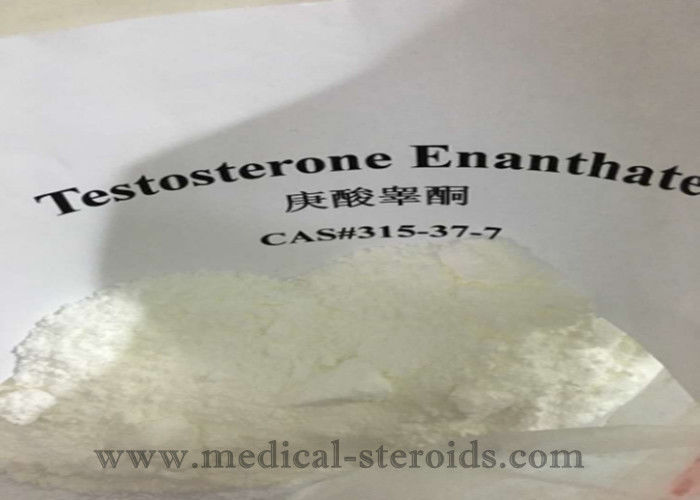 Testosterone Anabolic Steroid Testosterone Enanthate For Bodybuilding CAS 315-37-7