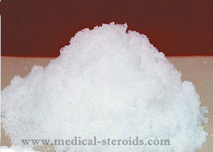 L-Carnitine Safe Raw Steroid Powders For Food Additives Muscle Building Supplements 541-15-1