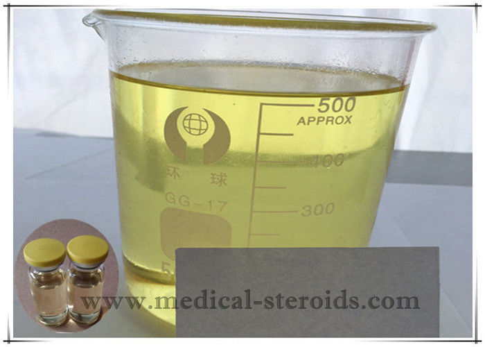 Cas 5949-44-0 Injectable Anabolic Steroids Testosterone Undecanoate 400mg/Ml