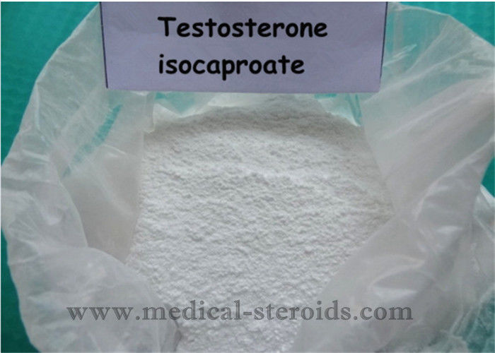 Testosterone Anabolic Steroid Testosterone Isocaproate To Burn Fat And Build Muscle