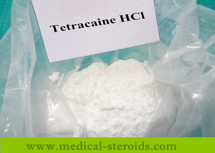 White Solid Anabolic Steroid Powder Tetracaine Hydrochloride For Mucosa Anesthetic