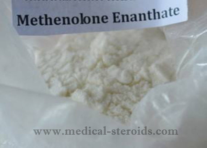 Methenolone Enanthate Muscle Enhancing Steroids , Fat Burning Hormones 99% Assay