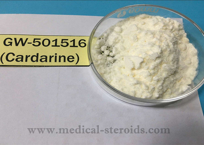 Muscle Building Anabolic Steroids Cardarine GW 501516 , Muscle Enhancing Steroids