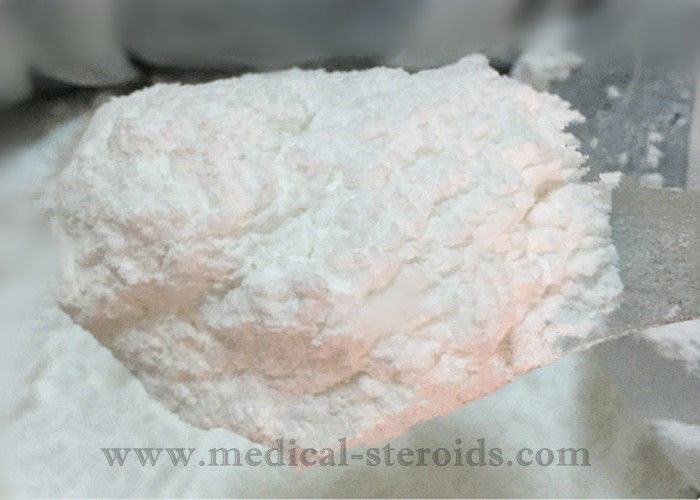 Bodybuilding Prohormone Powder Androstenedione / 4- Androstenedione Male Hormone Steroid