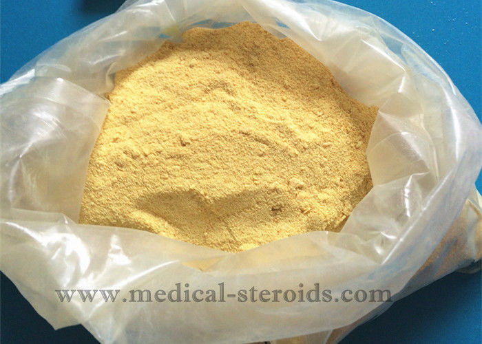 Trenbolone Enanthate Tren Anabolic Steroid Tren E For Increase Muscular Endurance CAS 10161-33-8