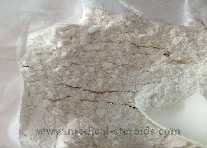 Injectable Testosterone Base Test Base Steroid Hormone Powder For Muscle Building CAS 58-22-0
