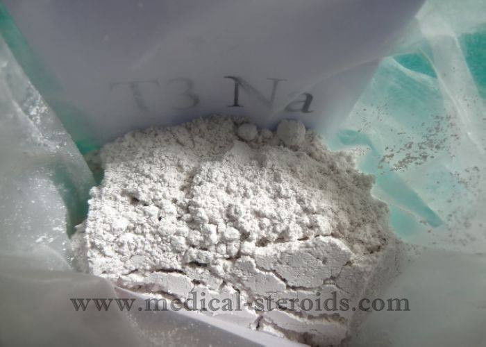 High Purity Weight Loss Steroids T3 Liothyronine Sodium Cytomel For Burning Fat With Factory Price