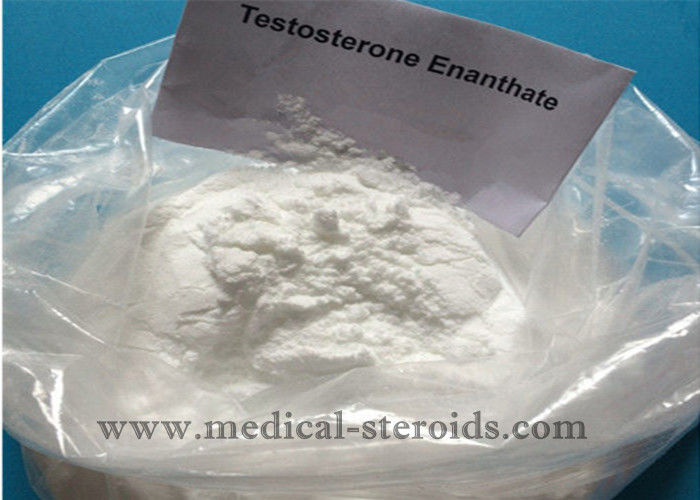 High Purity Bodybuilding Testosterone Anabolic Steroid Testosterone Enanthate CAS 315-37-7