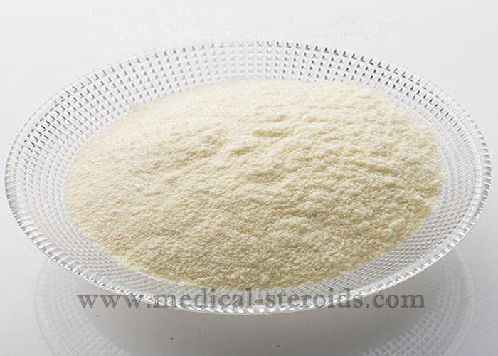 Fat Loss Steroids Liothyronine Sodium (T3) CAS 55-06-1 Bodybuilding Steroid 99% Purity Factory Price