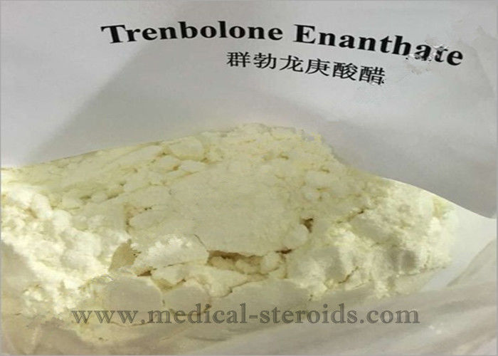 Parabolan Anabolic Steroids Trenbolone Enanthate for Muscle Enhancement CAS 10161-33-8