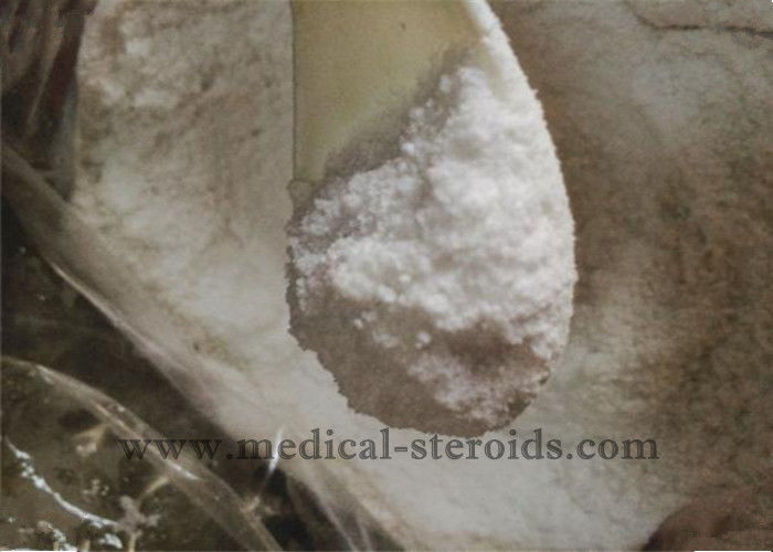 1, 4- Androstadienedione Muscle Enhancing Steroids For Bodybuilding CAS 897-06-3