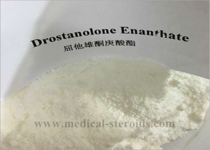 Building Muscle Raw Steroid Powders , Drostanolone Enanthate Cutting Cycle CAS 472-61-1