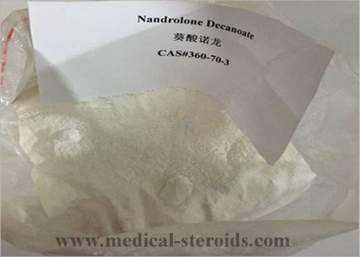 Injectable Anabolic Steroids Nandrolone Decanoate powder CAS NO 360-70-3 Muscle Growth