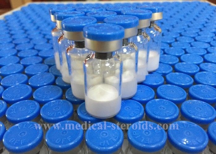 Selank Injectable Synthetic Analogue Nootropic Anxiolytic Peptide 129954-34-3