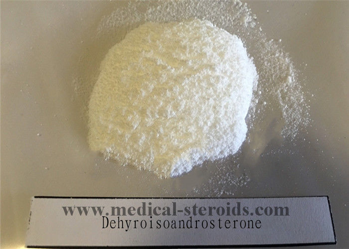 Raw Steroids Prohormone Powder Dehydroisoandrosterone CAS 53-43-0 DHEA Powder