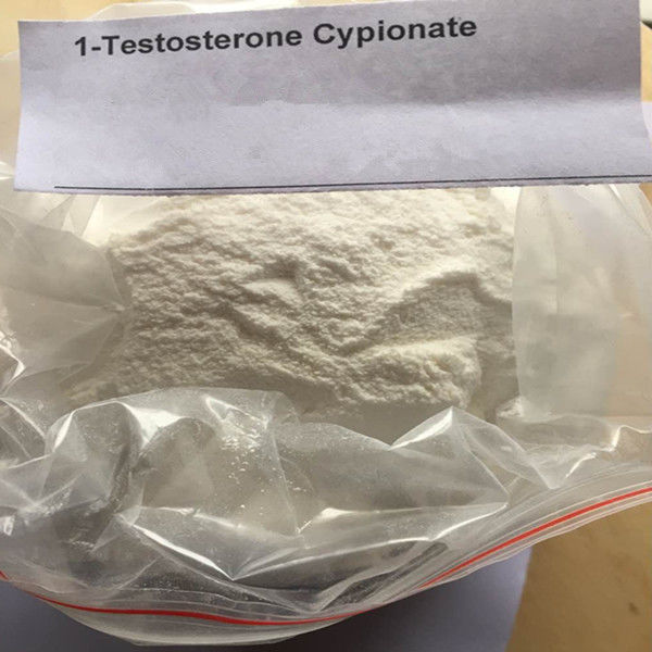 Clostebol Acetate High Purity Anabolic Steroids Muscle Gain CAS	855-19-6 Turinabol