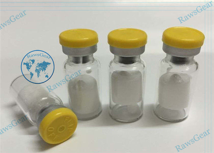 Pentadecapeptide BPC 157 Peptides Muscle Gain CAS 137525-51-0 Powder For Bodybuilding