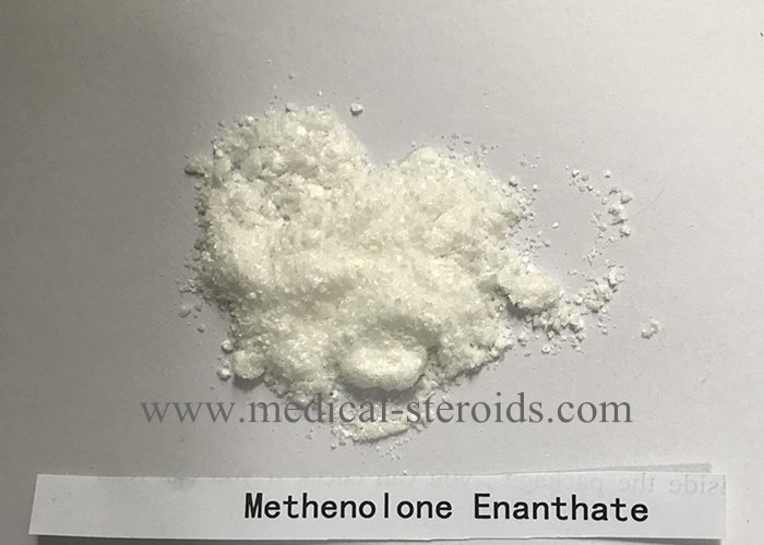 Muscle Gain Injectable Primobolan Depot Methenolone Enanthate Injectable Steroid Help Bodybuilding